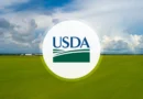 Sec. Rollins Announces Sweeping Reforms to Protect National Forests and Boost Domestic Timber Production