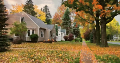 Housing Market Recovery on Road Back to Normal