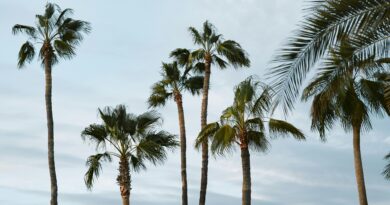 Title 24: What builders need to know