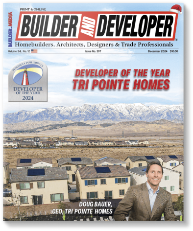 Developer Of The Year 2024